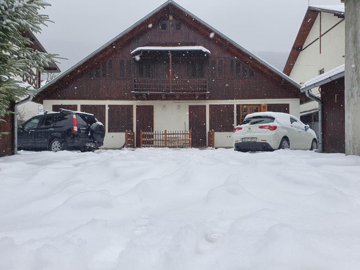 Vila Panselutelor 6 ซินายา ภายนอก รูปภาพ